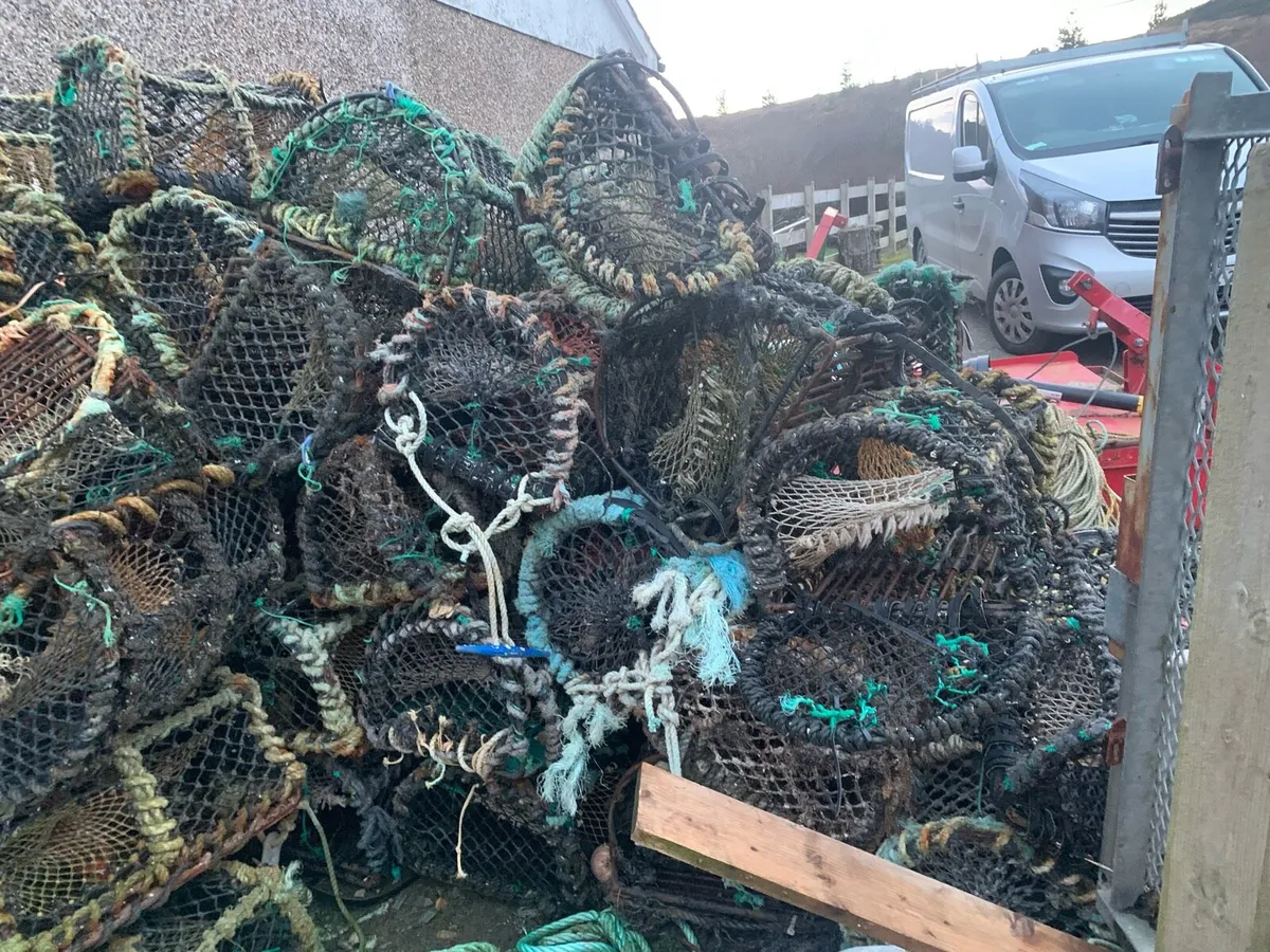 Crab pots - Image 2