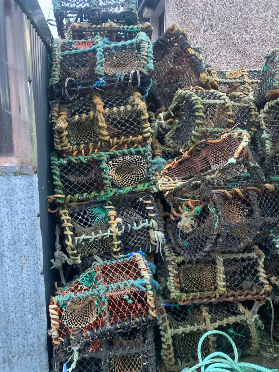 Crab pots - Image 3