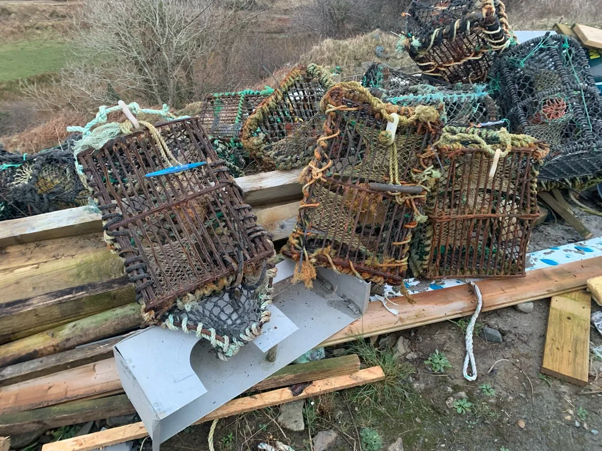 Crab pots - Image 4