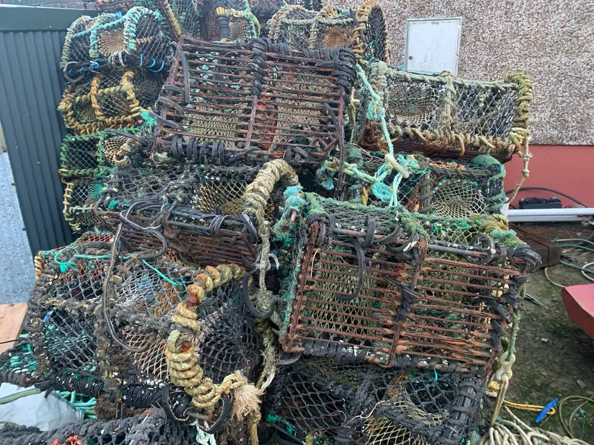 Crab pots - Image 1