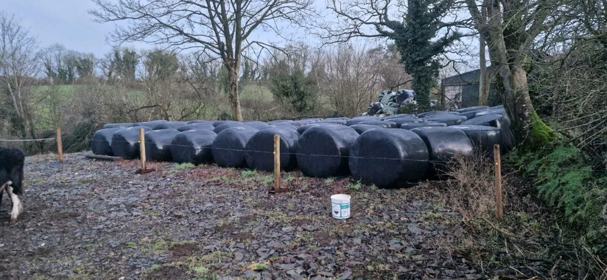Silage Bales