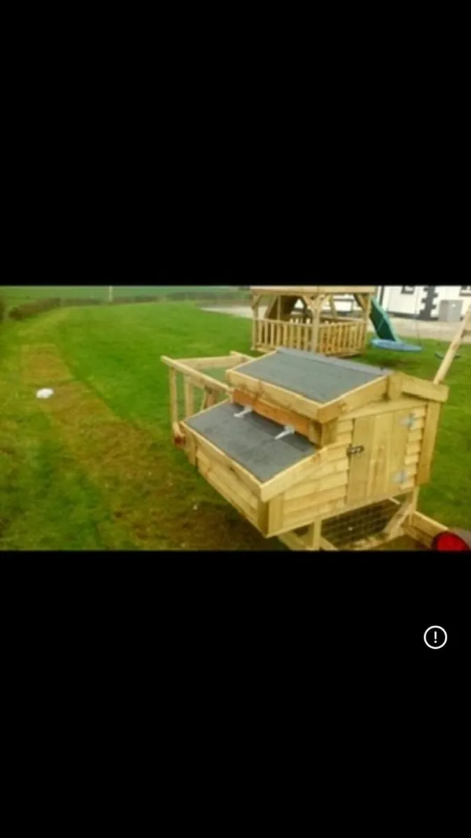 Pullets and hen houses for sale - Image 4