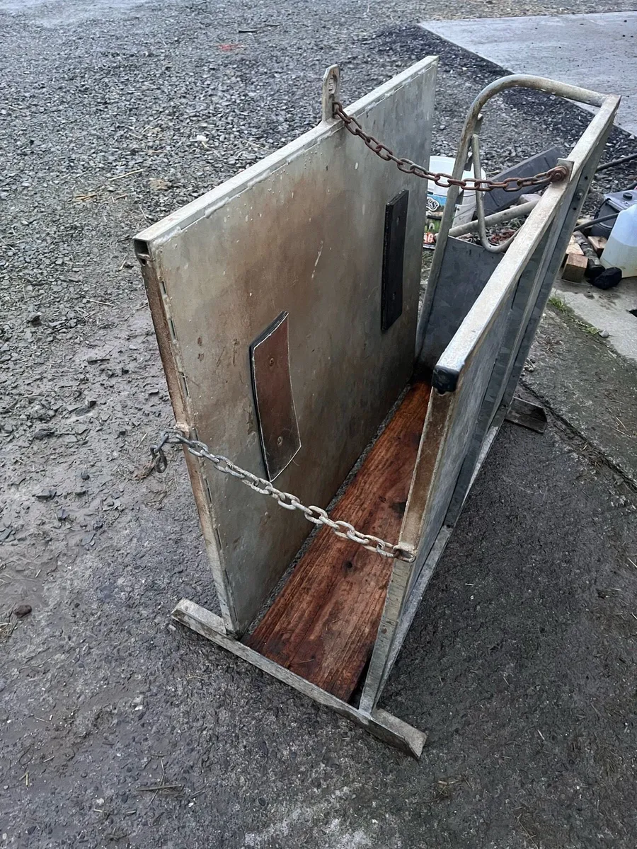 Calf Dehorning Crate - Image 2