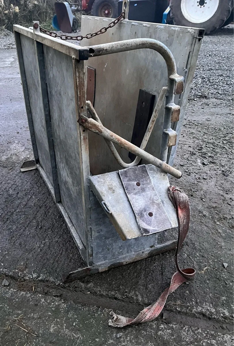 Calf Dehorning Crate - Image 3