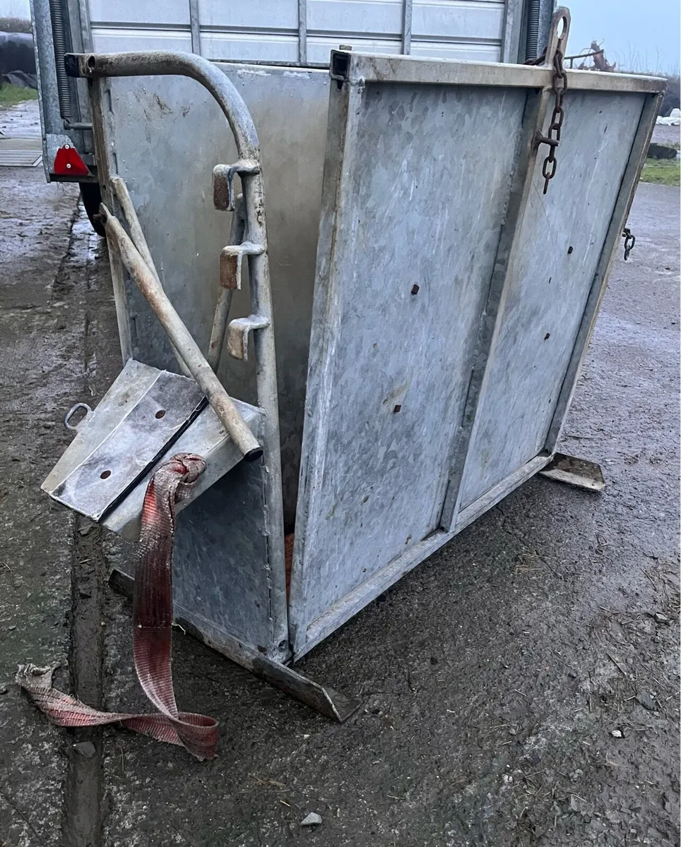 Calf Dehorning Crate - Image 1