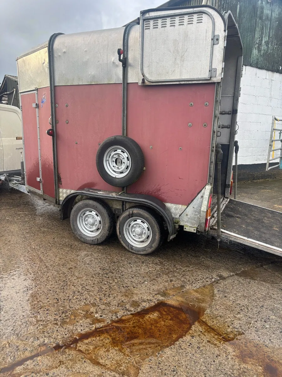 Ifor Williams 505 - Image 2