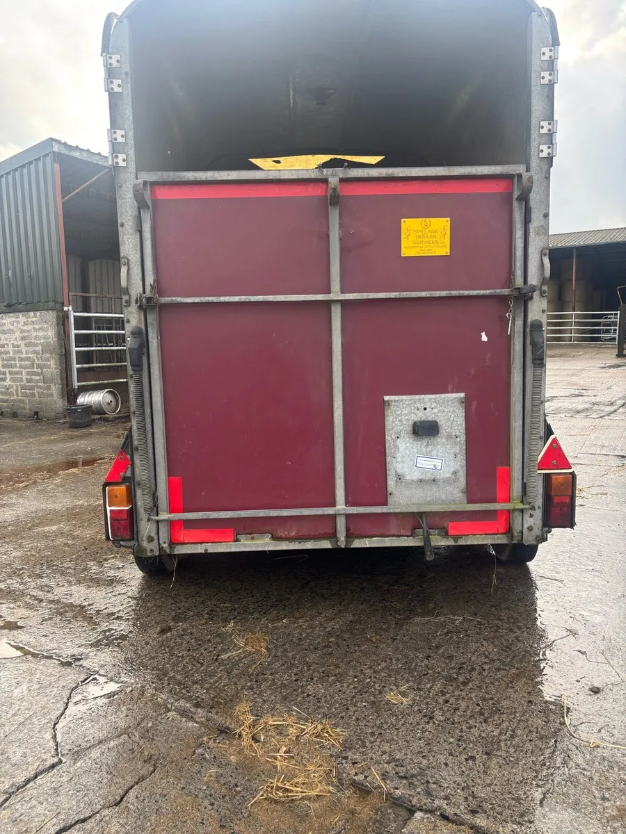 Ifor Williams 505 - Image 4