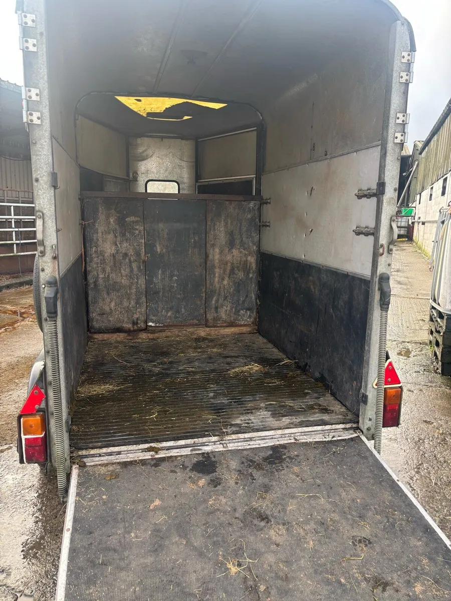 Ifor Williams 505 - Image 1