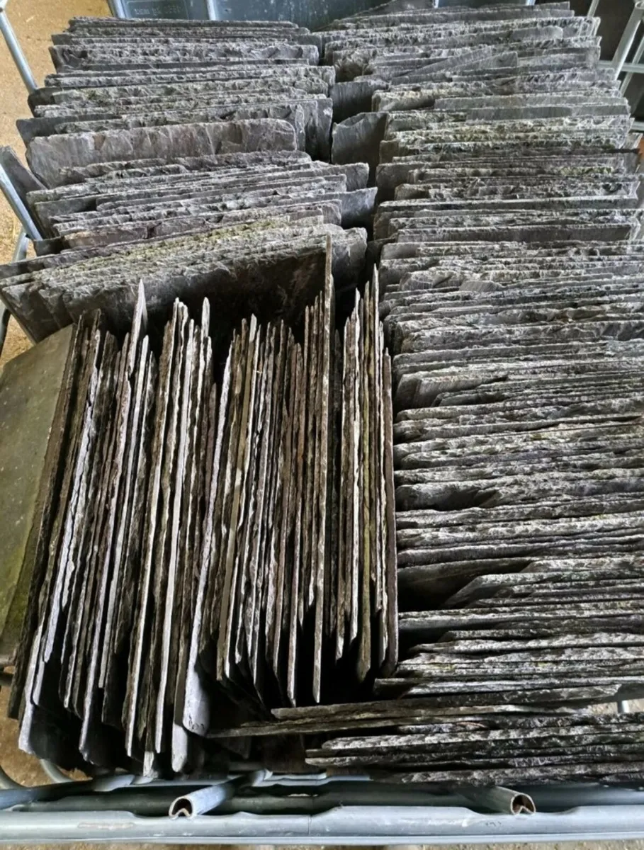 JOBLOT 130qty 30 inch Random Bangor Blue Slates