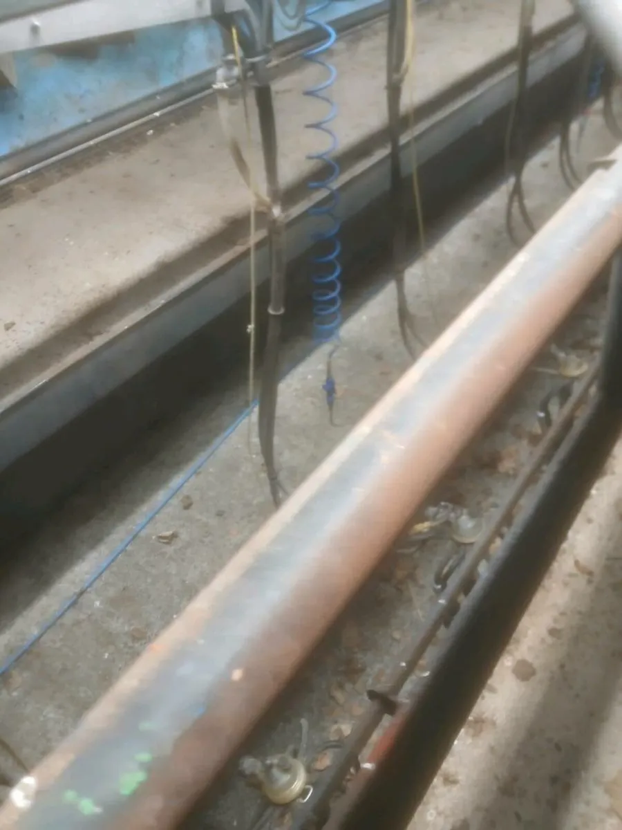 Cluster flush - Image 4