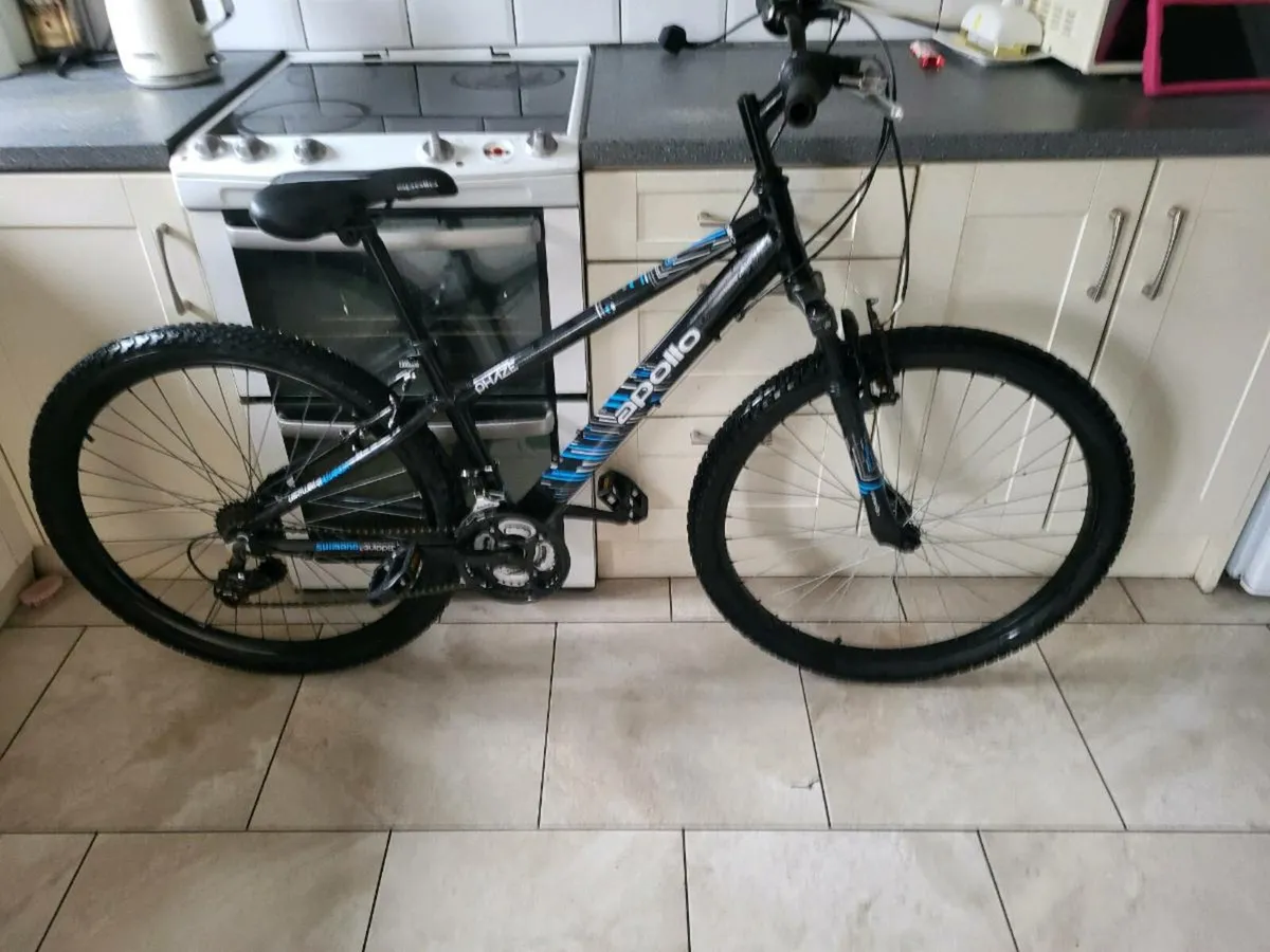 Mountain bike - Image 1