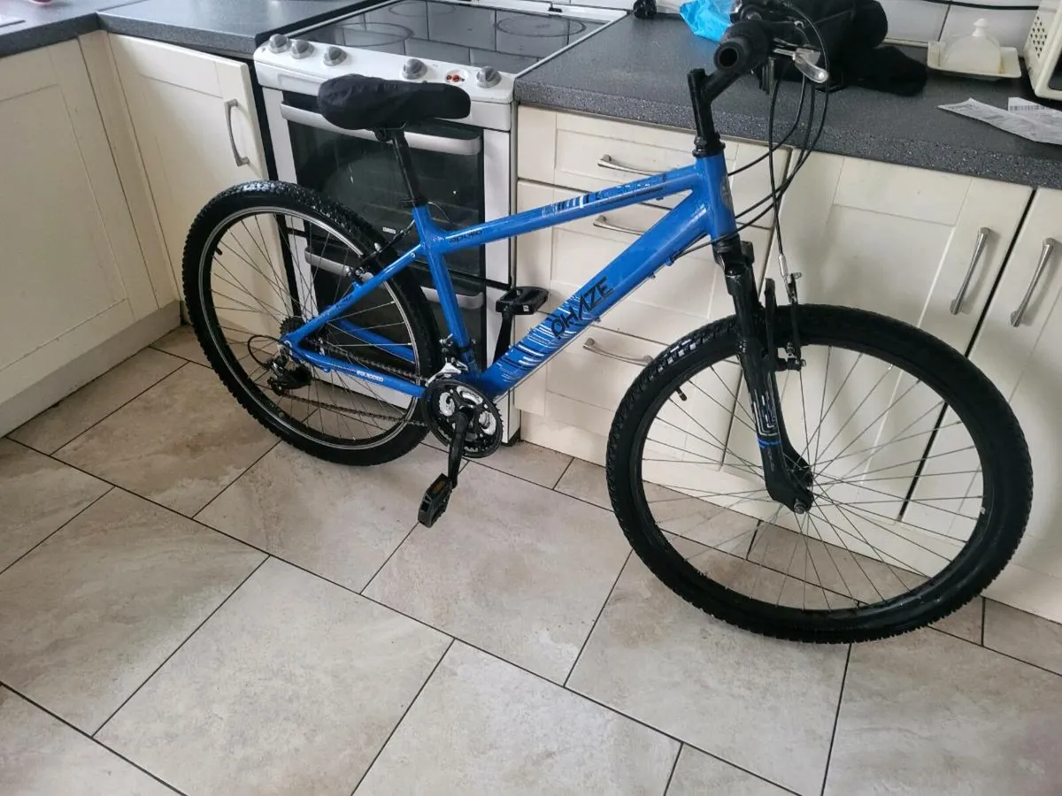 Mountain bike - Image 1