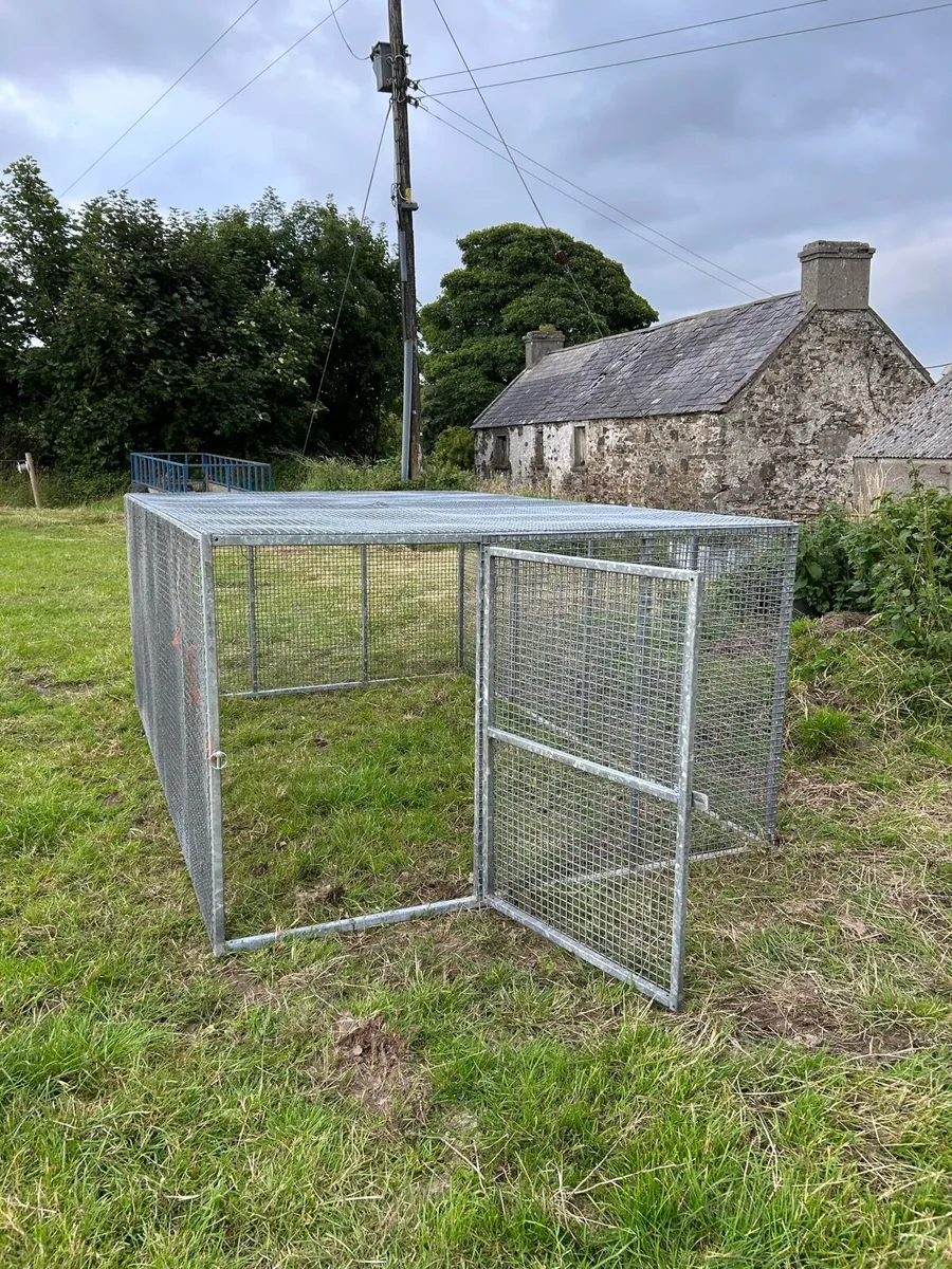 Dog race/cage - Image 1