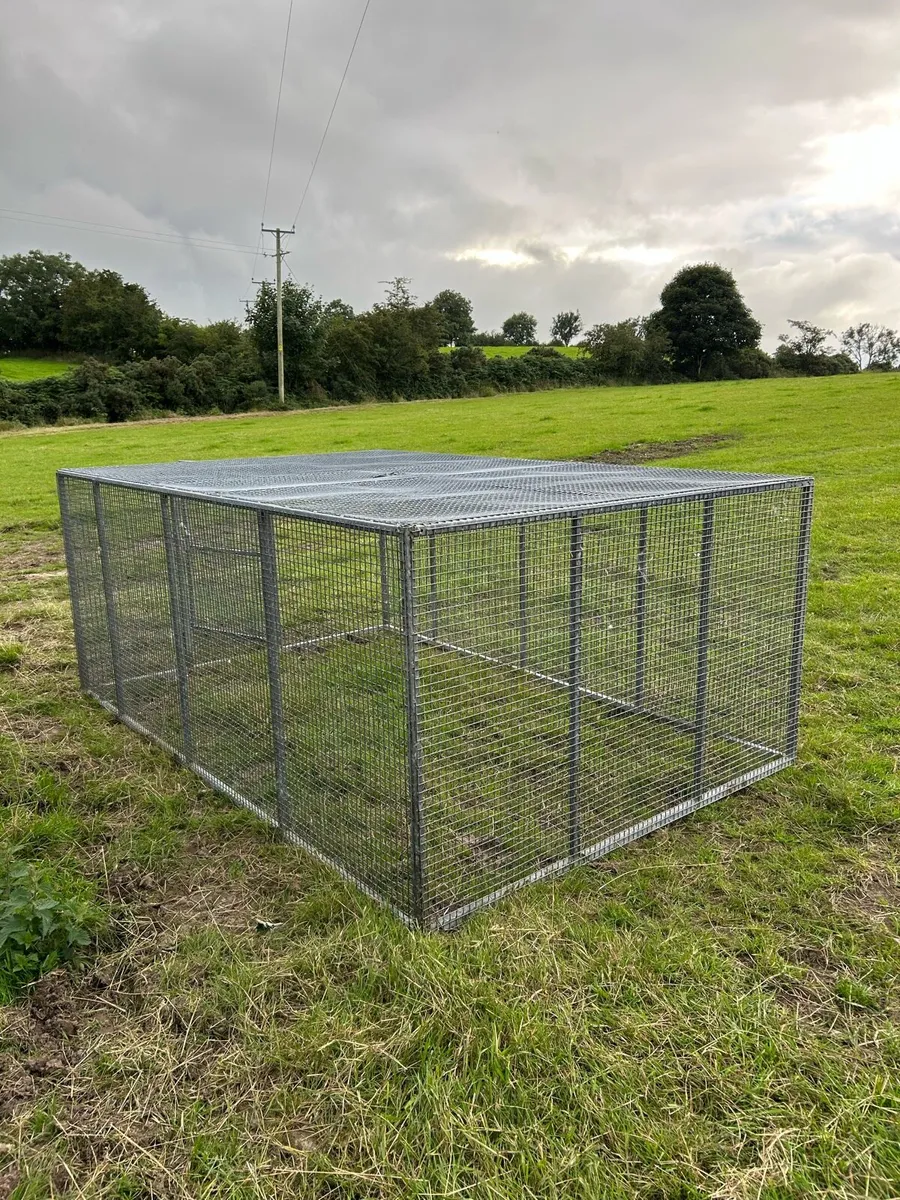 Dog race/cage - Image 2