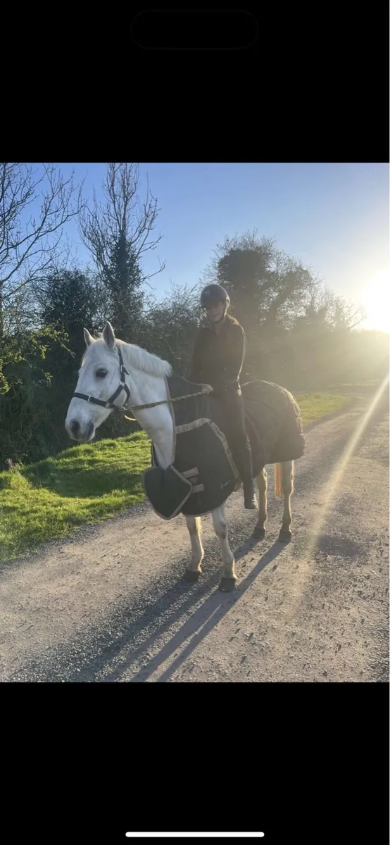 148 school master - Image 3