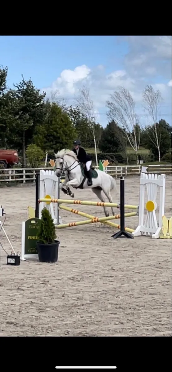 148 school master - Image 4