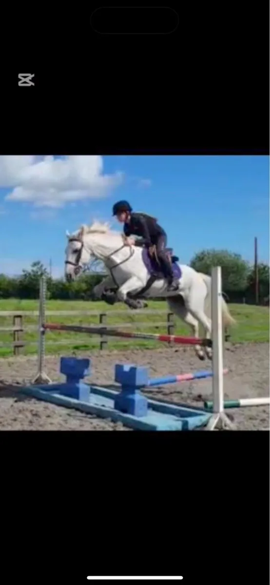 148 school master - Image 2