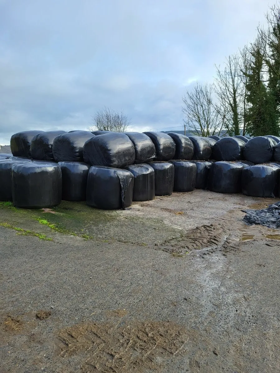 Silage Bales - Image 1