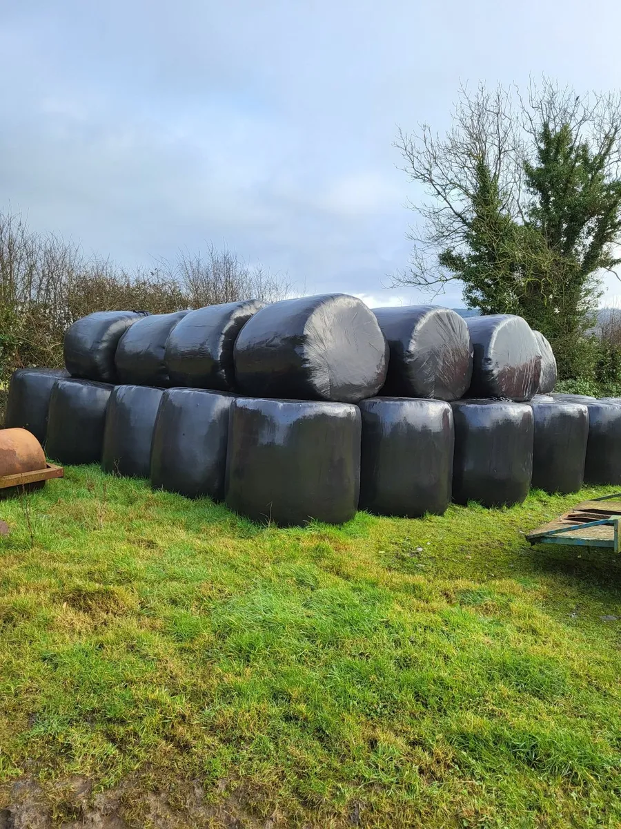 Silage Bales - Image 2