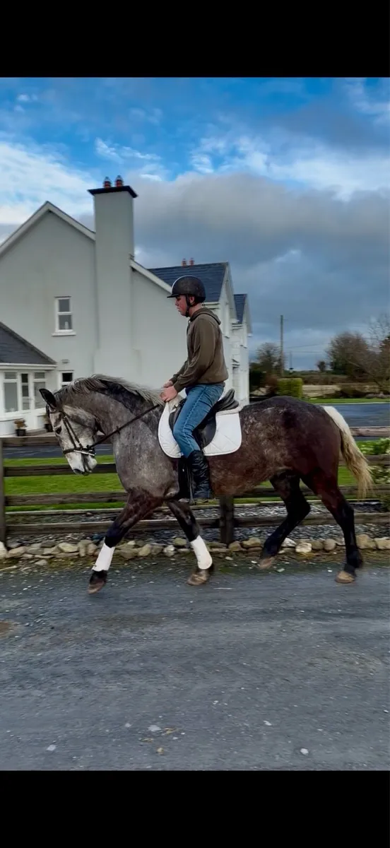 Nice draught type - Image 4