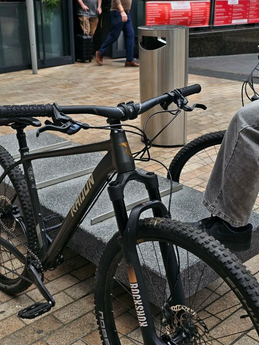 Radon Mountain Bike - Image 3