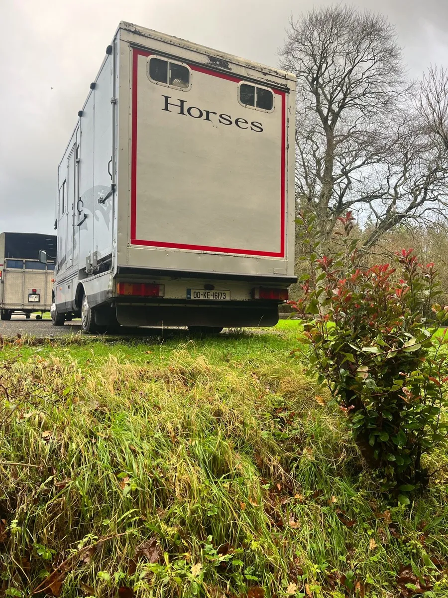 2 horse/pony little lorry. - Image 4