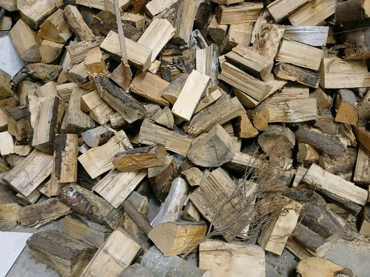 Firewood - Image 1