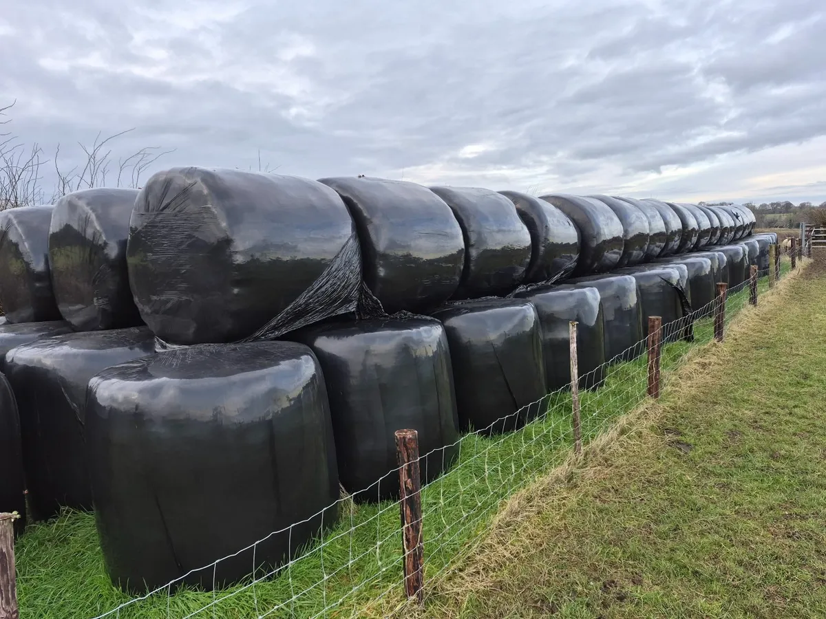 Silage bales