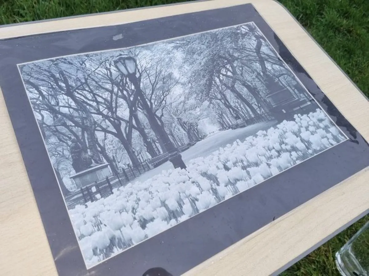 Large art photograph of Central Park in New York - Image 3