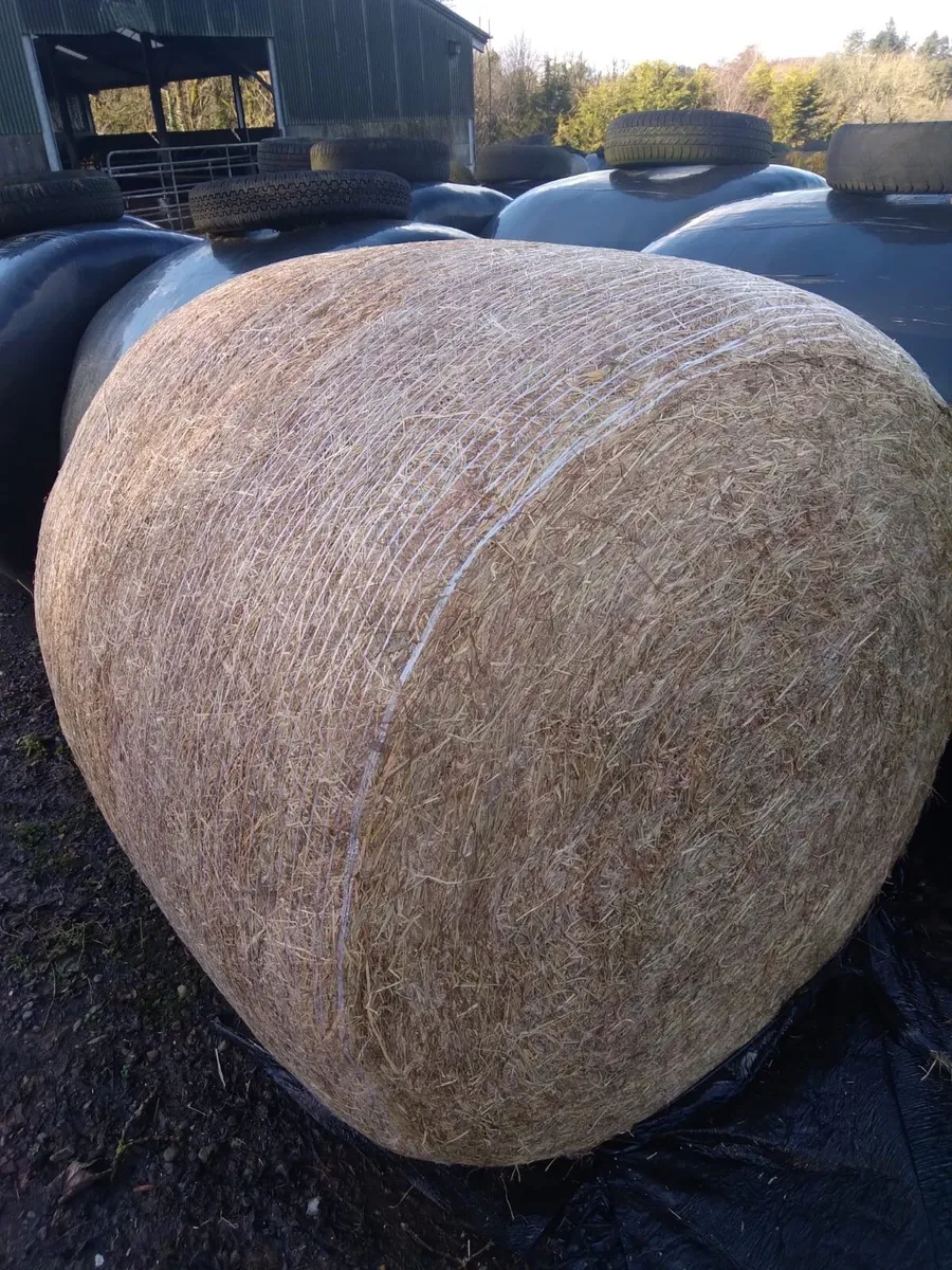 Round Hay & Haylage Bales