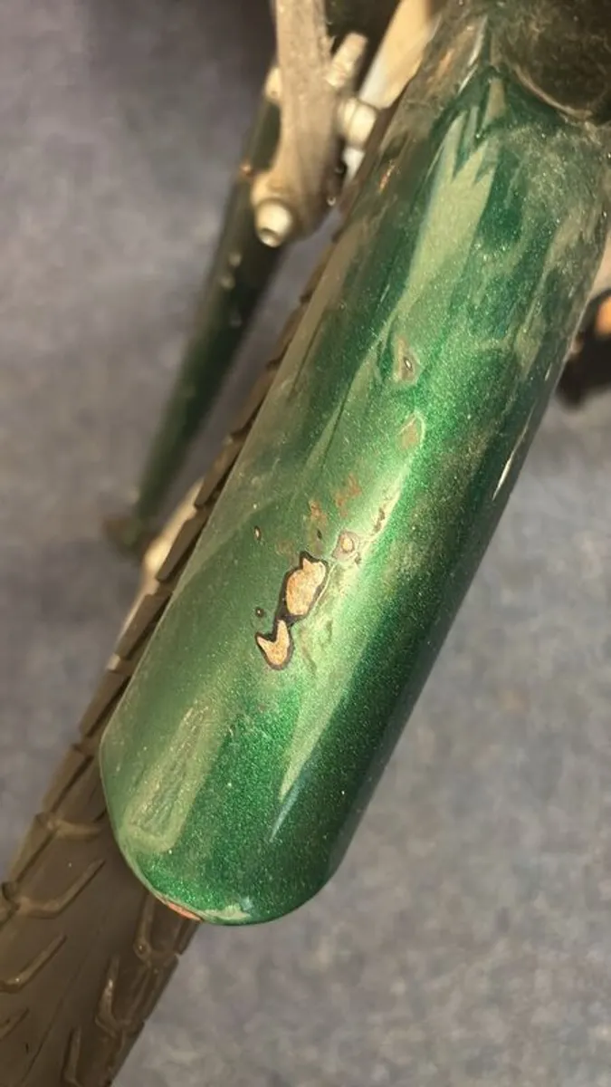 Ladies Capri bike - Image 2