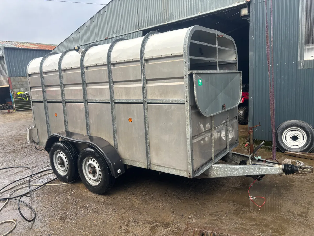 Murphy 12ft Livestock Trailer - Image 2