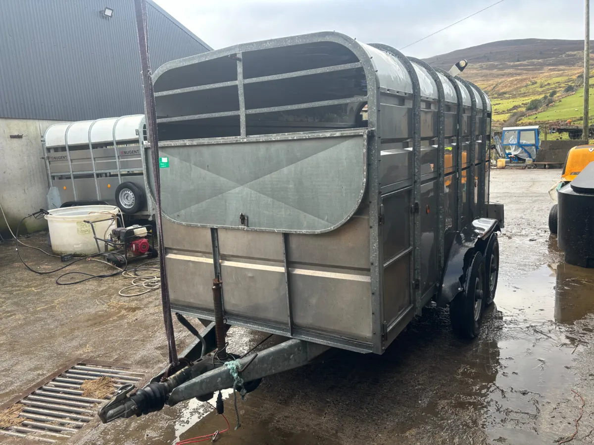 Murphy 12ft Livestock Trailer - Image 3