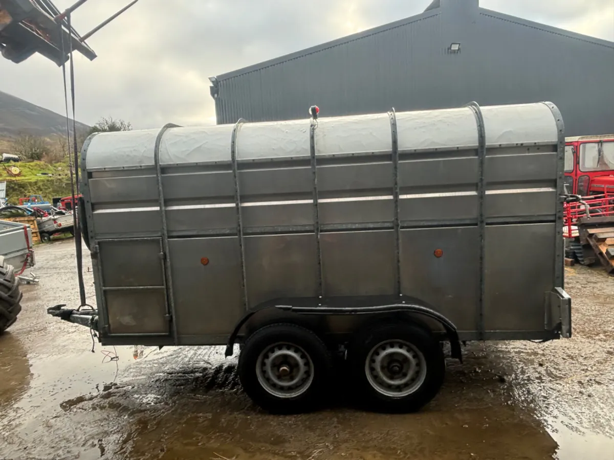 Murphy 12ft Livestock Trailer - Image 4