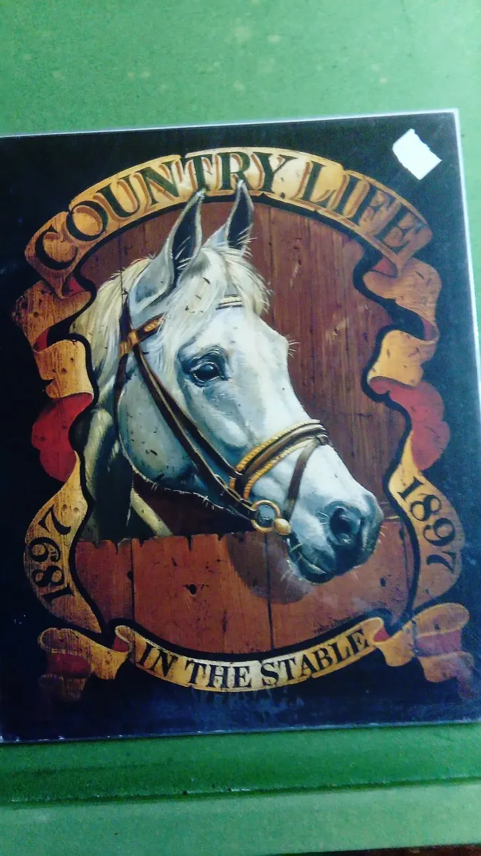 Unframed horse prints new - Image 4