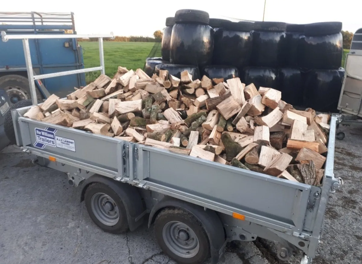 Hardwood firewood - Image 3