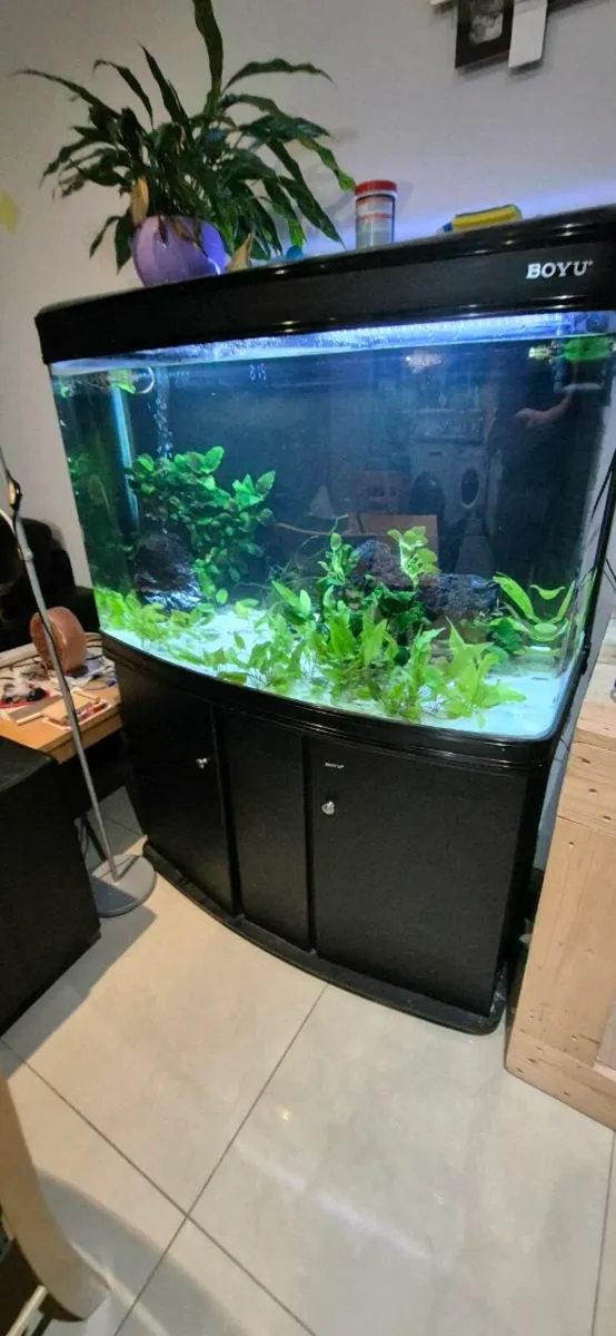 Fish tank 300 l - Image 1