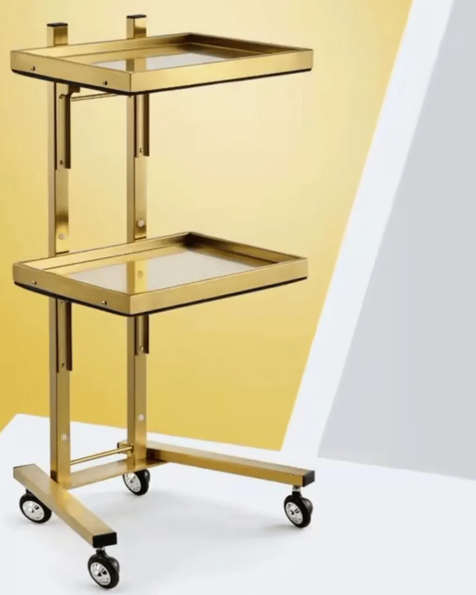 Stainless Steel Aesthetic Salon Trolley - Image 1