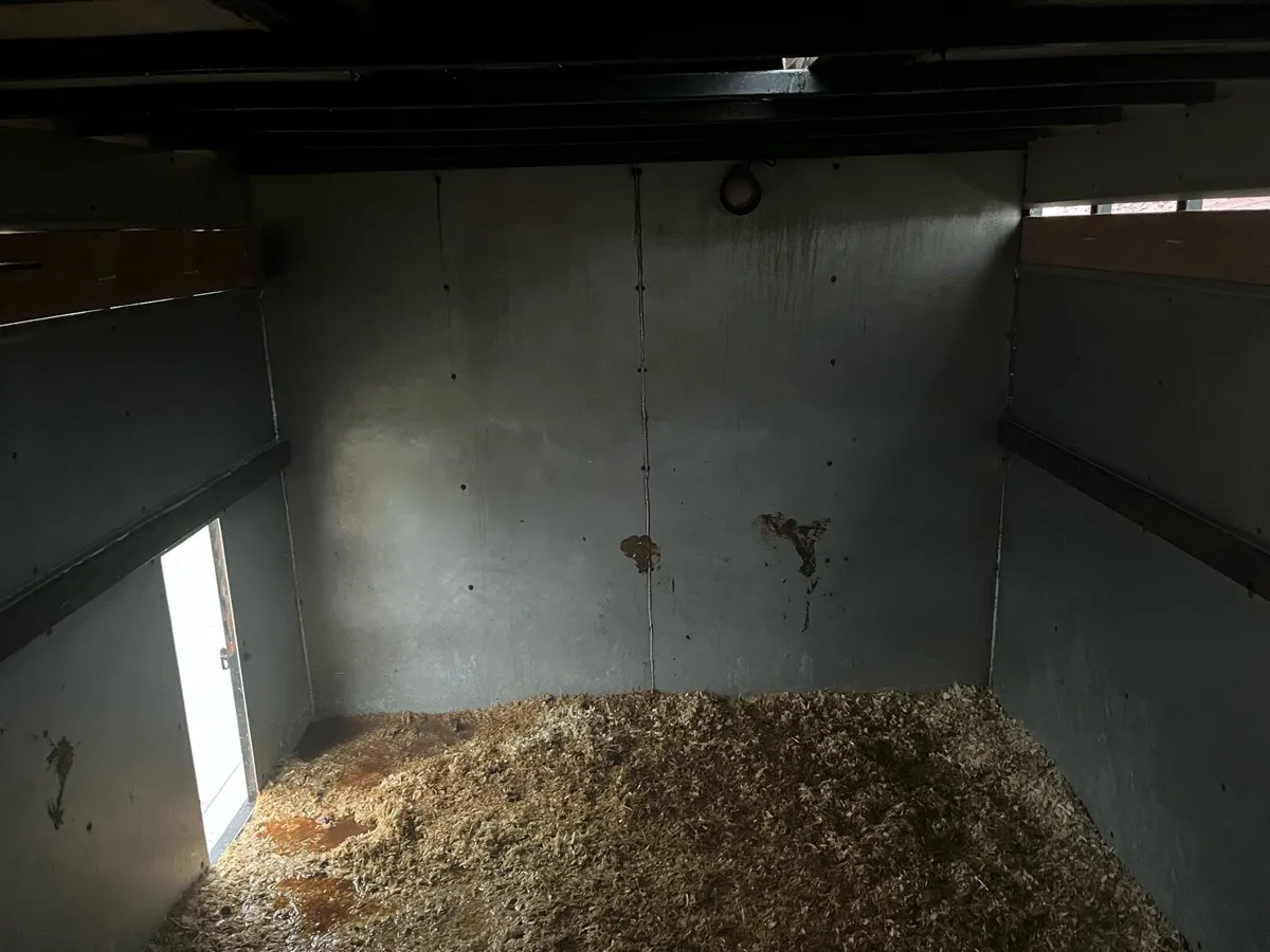 Daf LF 55.180 Cattle Livestock Truck - Image 3