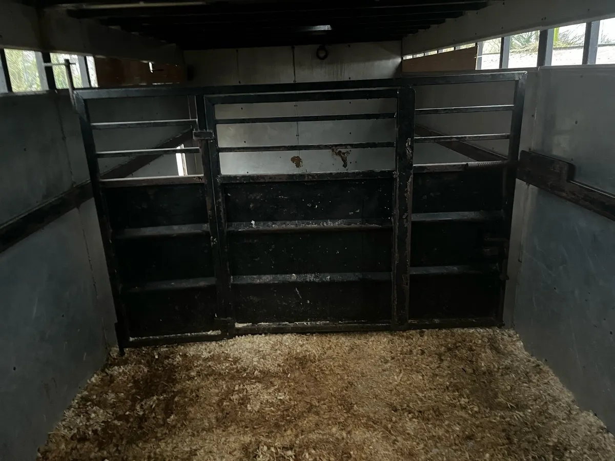 Daf LF 55.180 Cattle Livestock Truck - Image 4