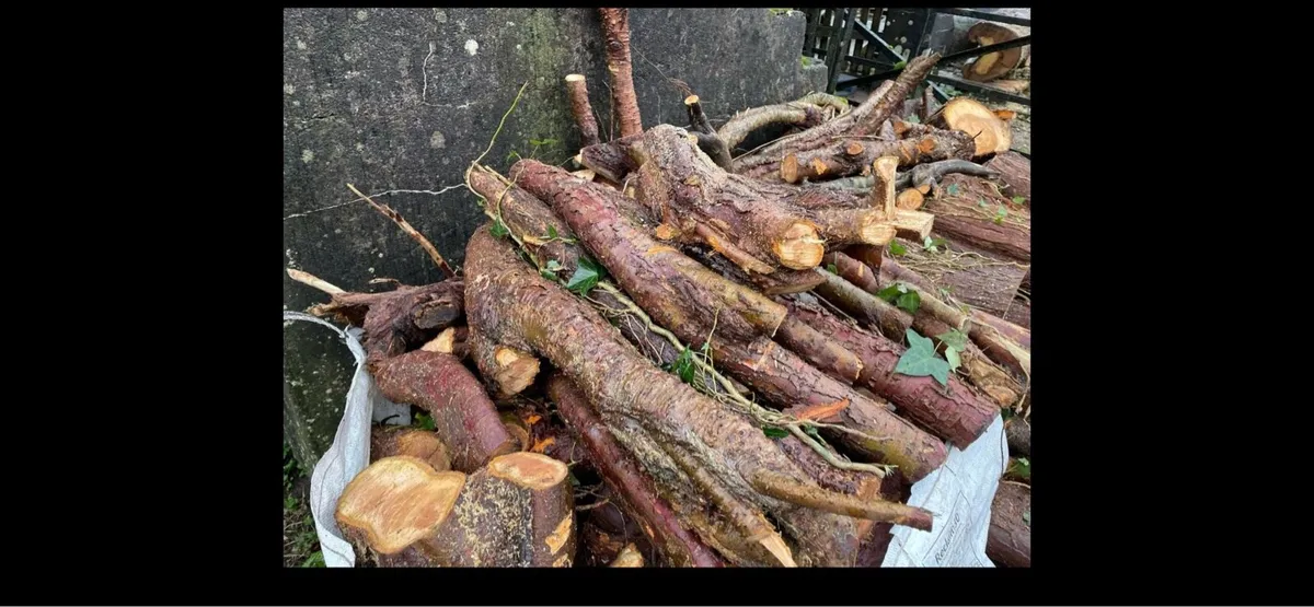 Softwood firewood rings / lengths - Image 2