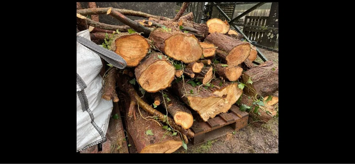 Softwood firewood rings / lengths - Image 3