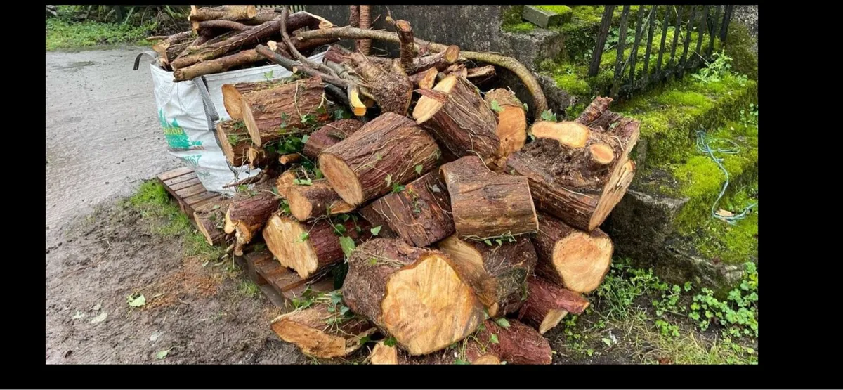 Softwood firewood rings / lengths - Image 4