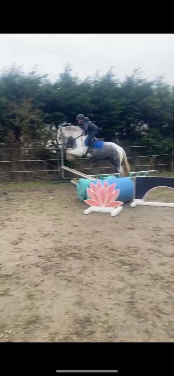 Cob 14 hands - Image 4