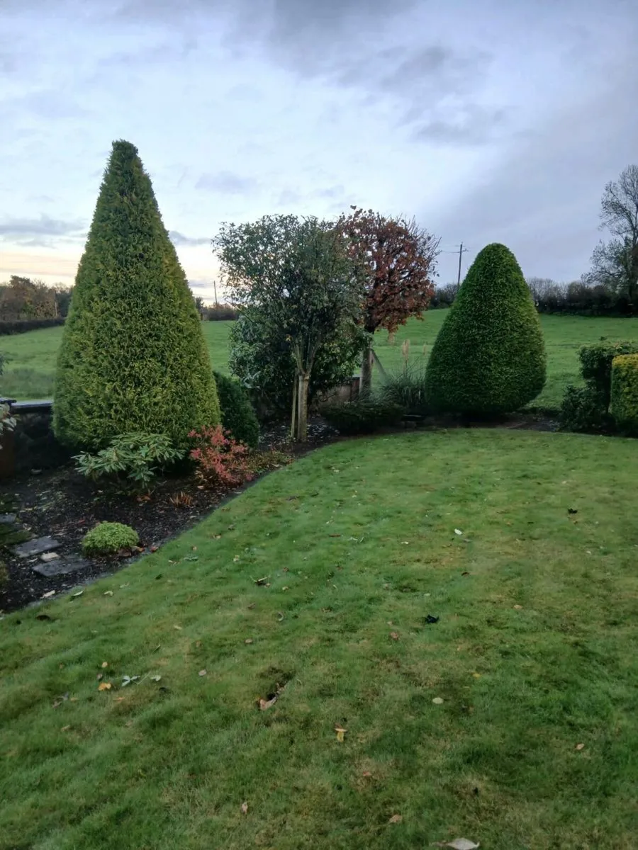 Garden maintanence services - Image 4