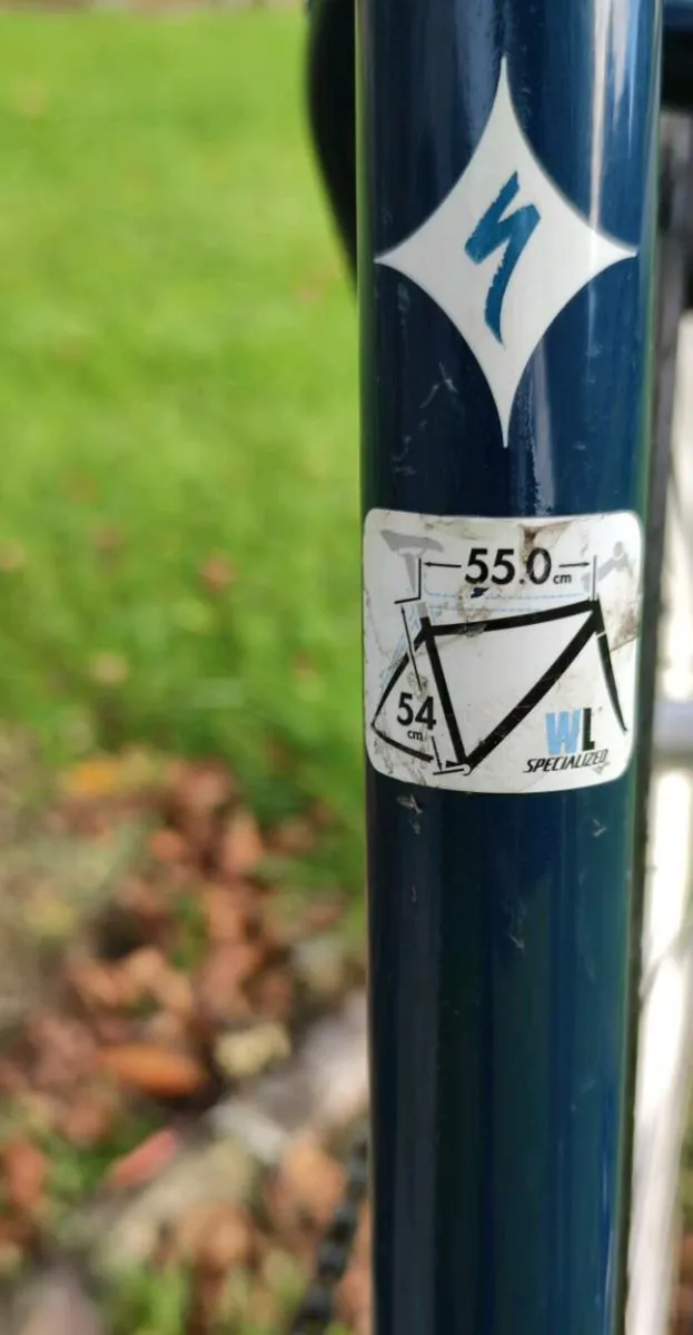 Specialized Vita Bike - Image 4