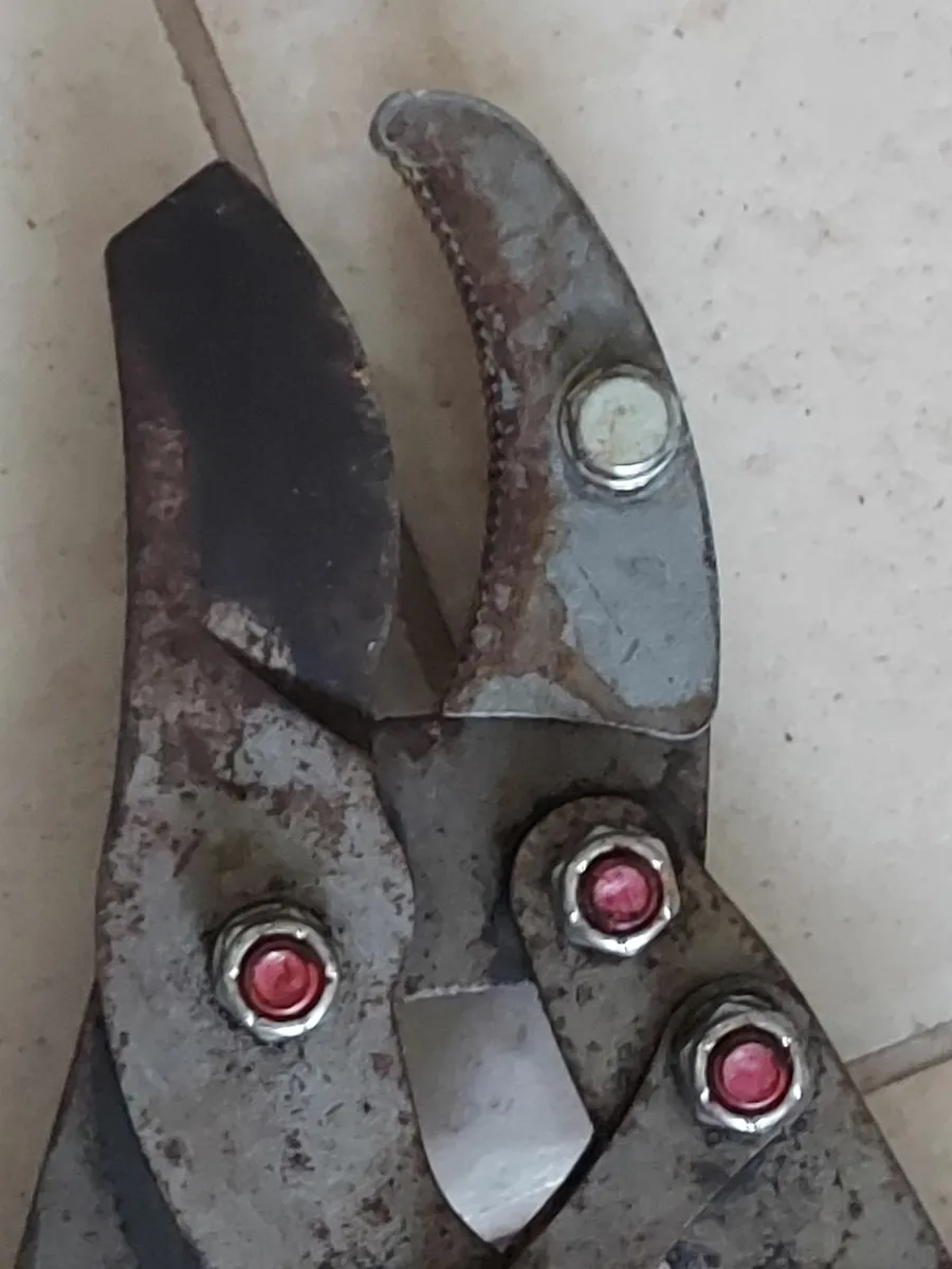 True Temper One4you Shears/Lopper - Image 3