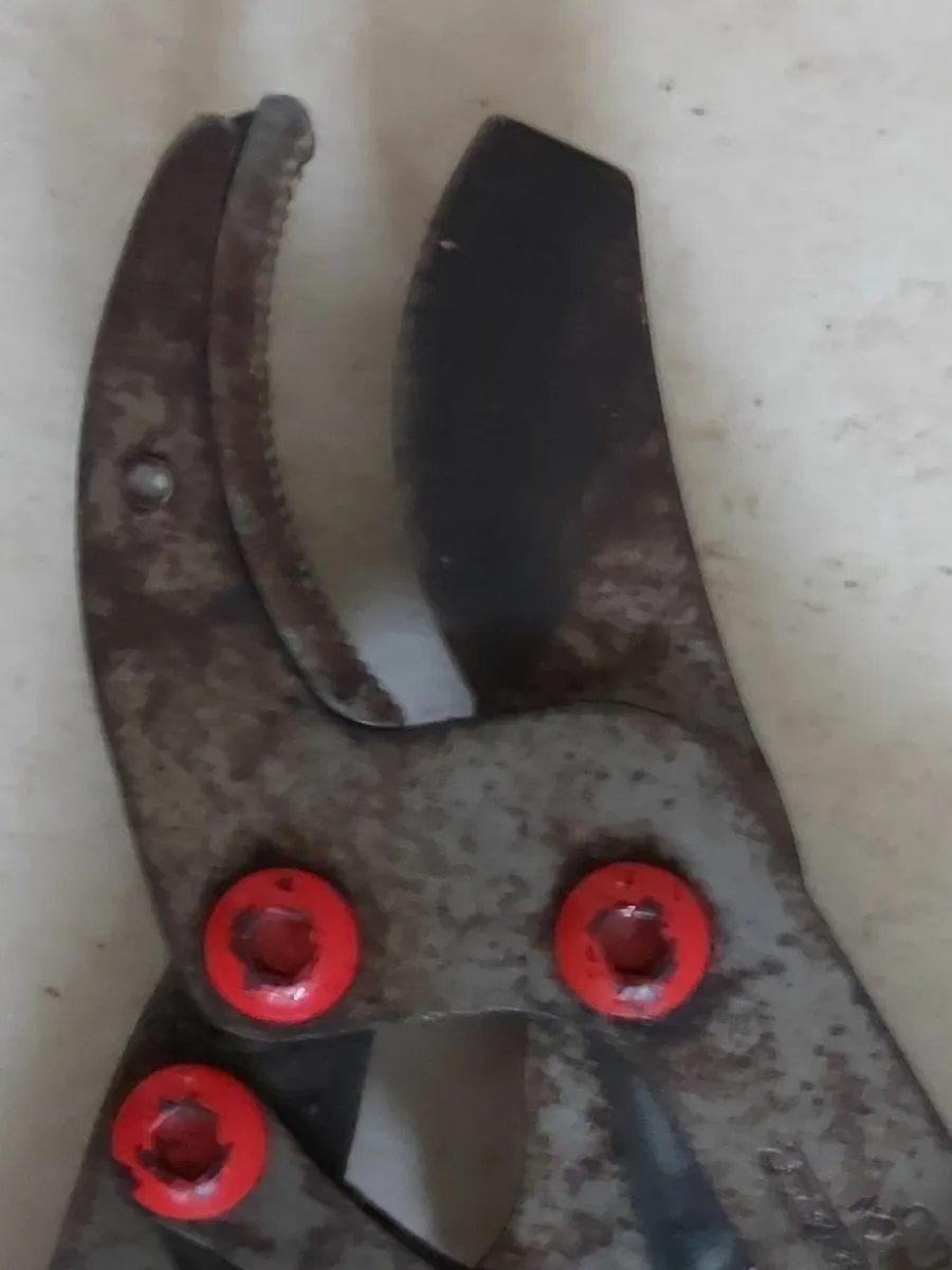 True Temper One4you Shears/Lopper - Image 4