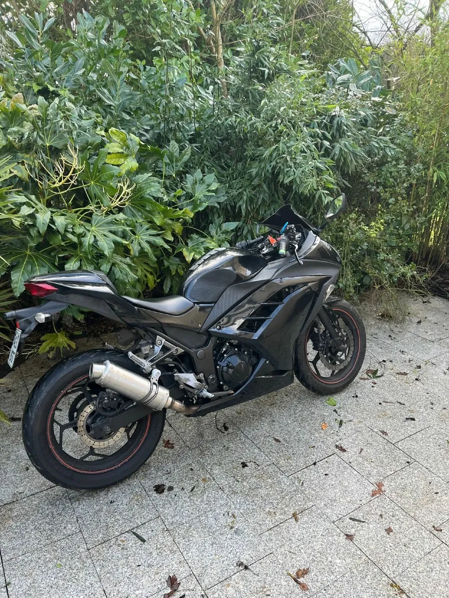 Kawasaki Ninja 300 - Image 2