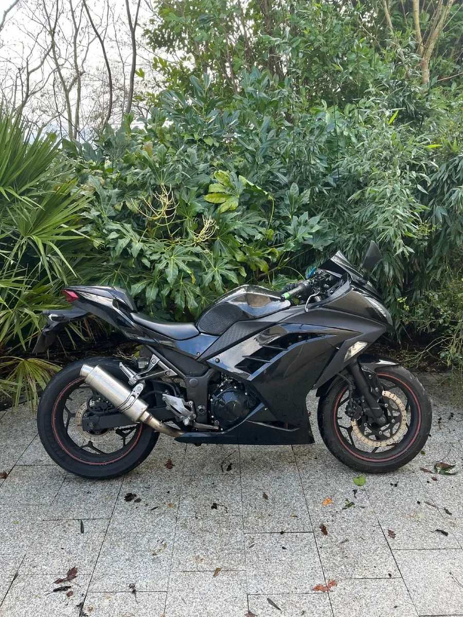 Kawasaki Ninja 300 - Image 3